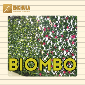 Biombo De Flor